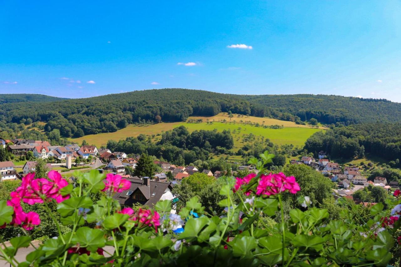 Panorama Hotel Heimbuchenthal 外观 照片
